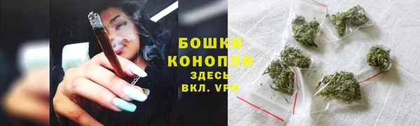 spice Аркадак