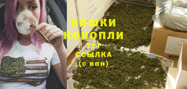 spice Аркадак