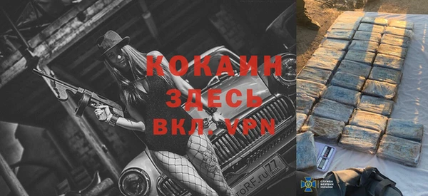 шишки Балабаново