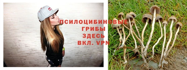 spice Аркадак
