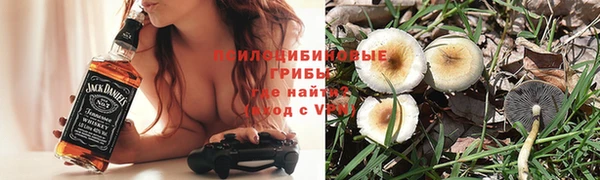 дурь Тутаев