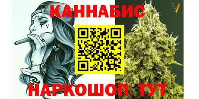 мдпв Гудермес