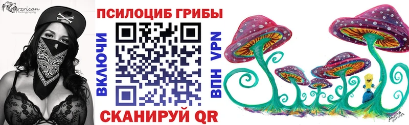 MEGA зеркало  Новомосковск  Псилоцибиновые грибы Psilocybe 