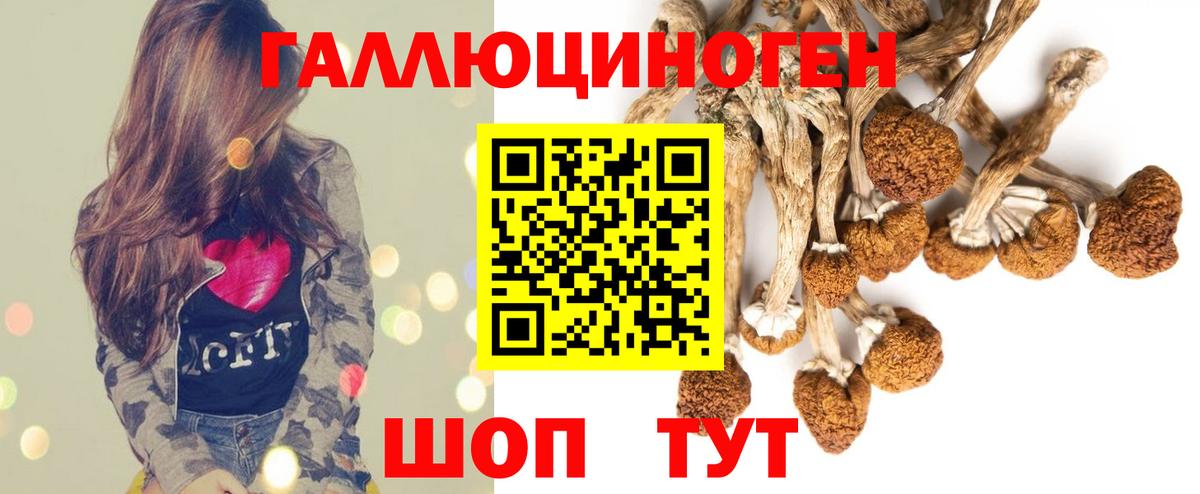 А ПВП Новомосковск